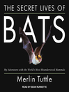 Cover image for The Secret Lives of Bats